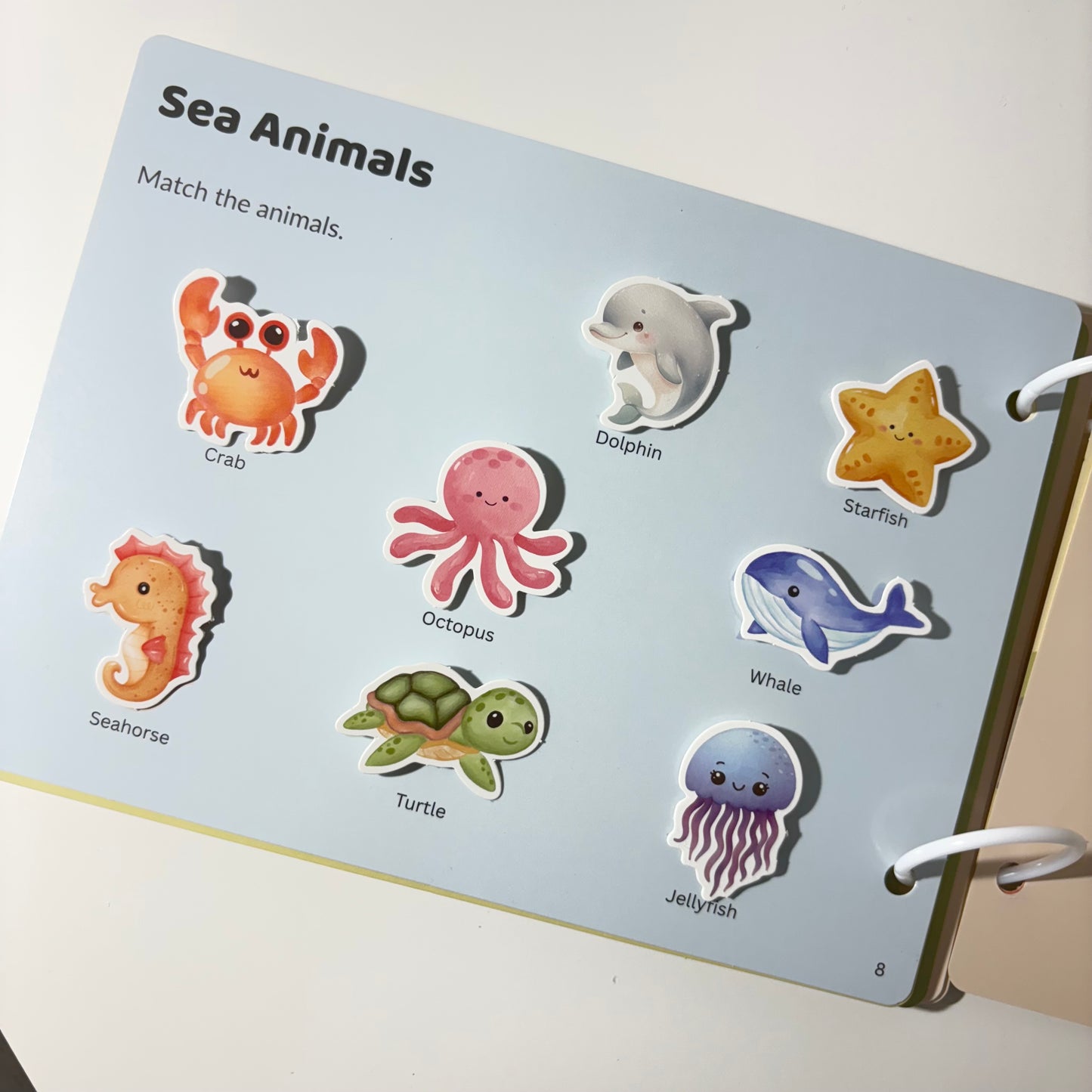 Inside pages showing color and shape activities with Lumi the bear