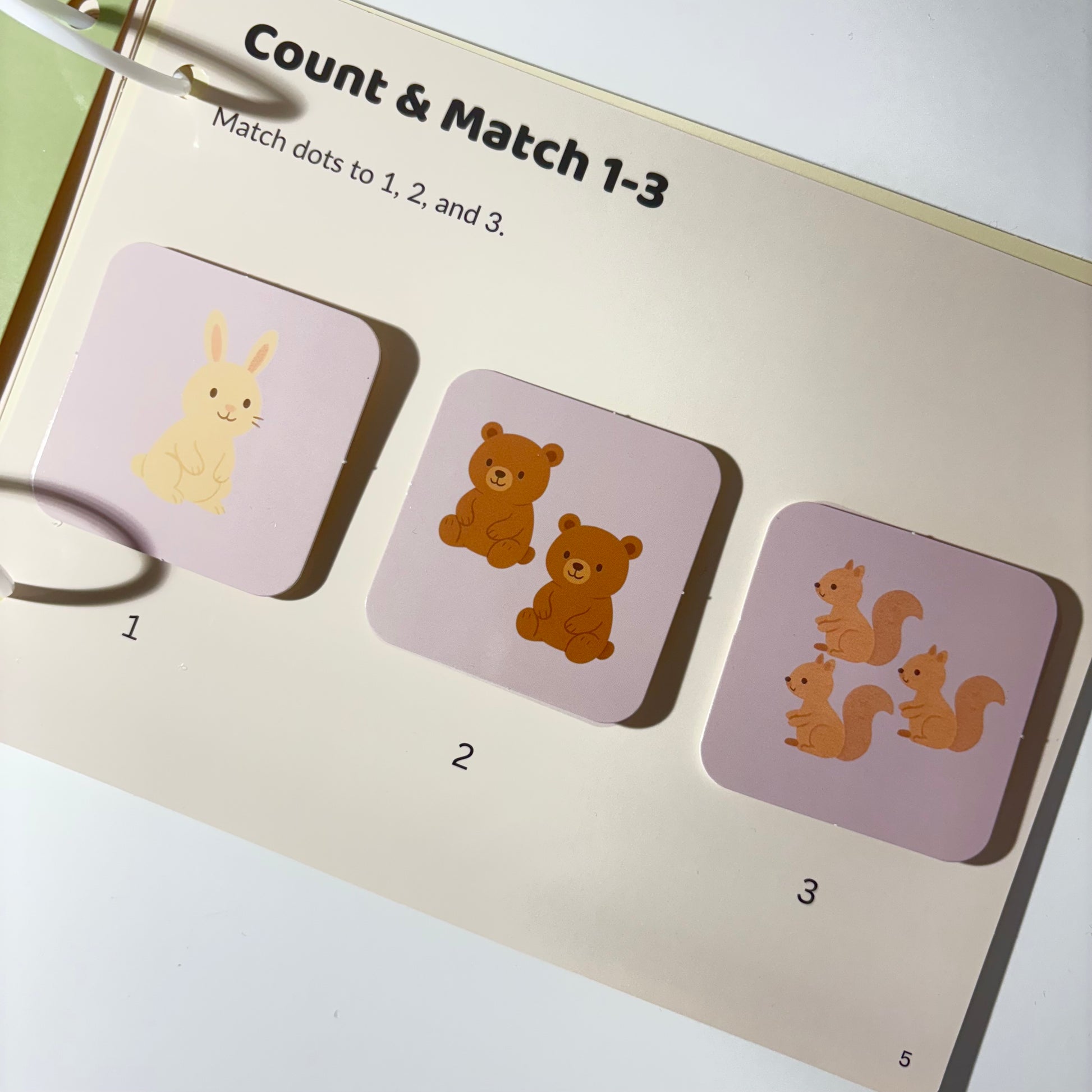 Inside pages showing color and shape activities with Lumi the bear